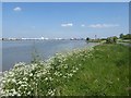 The Thames Path at Thamesmead