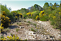 Abandoned River Channel