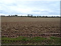 Field off the A518, Billington