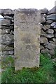 Old milestone beside minor road opposite Runley Bridge Farm