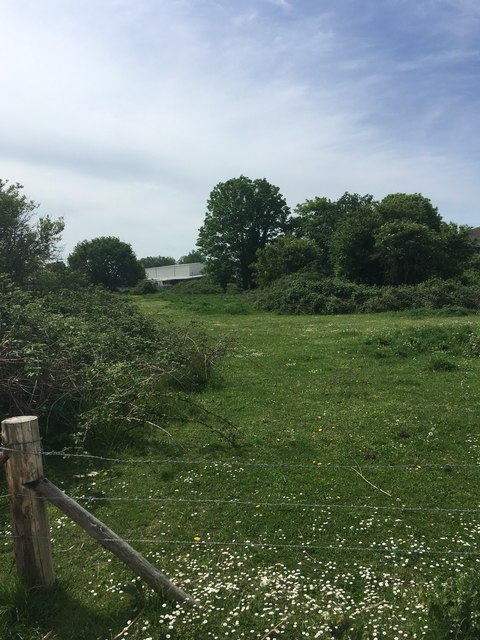 The horse field of Lower Sunbury