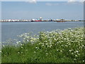 The River Thames near Cross Ness