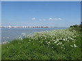 The River Thames near Cross Ness