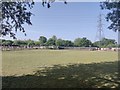 Paddocks next to the Joint Cemetery