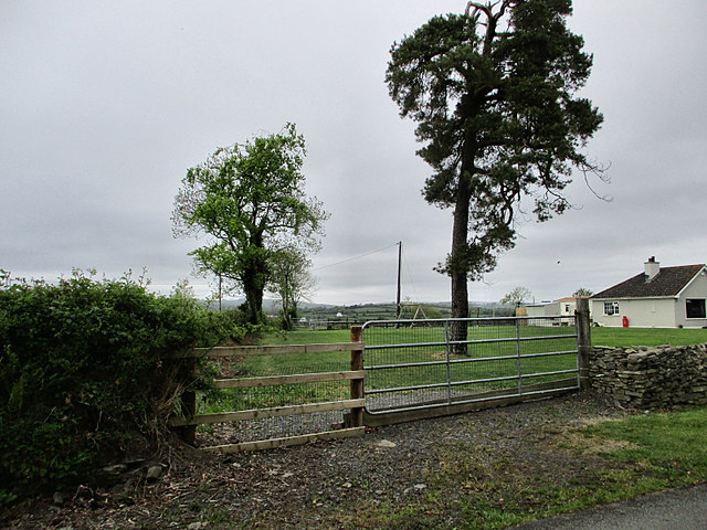 Gate and Trees