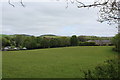 Looking towards Dwellings on Marton Road