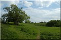 Bridleway by the Nidd