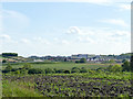 Thorpe Park from Barnbow Lane