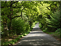 Priory Lane at Stoneywell Wood