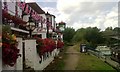 Thames Towpath behind the Swan Hotel