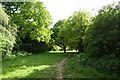 Path from Low Moor