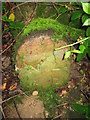 Old Boundary Marker