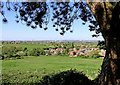 Farmland near Ettingshall Park, Wolverhampton