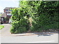 Footpath, Stourbridge Road Catshill