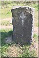 Stone post with benchmark on west side of footpath