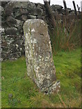 SE0695 : Old Boundary Marker by Mike Rayner