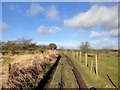 Muddy path near Crookhall