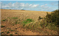 Stubble field near Wigford