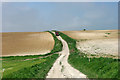 Farm track and bridleway towards Saltdean