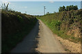 Lane near Coyton