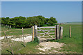 Bridleway gate above Balsdean