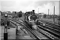 ST0311 : 1466 leaving Tiverton Junction – 1963 by Alan Murray-Rust