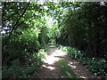 Footpath to Four Lane Ends