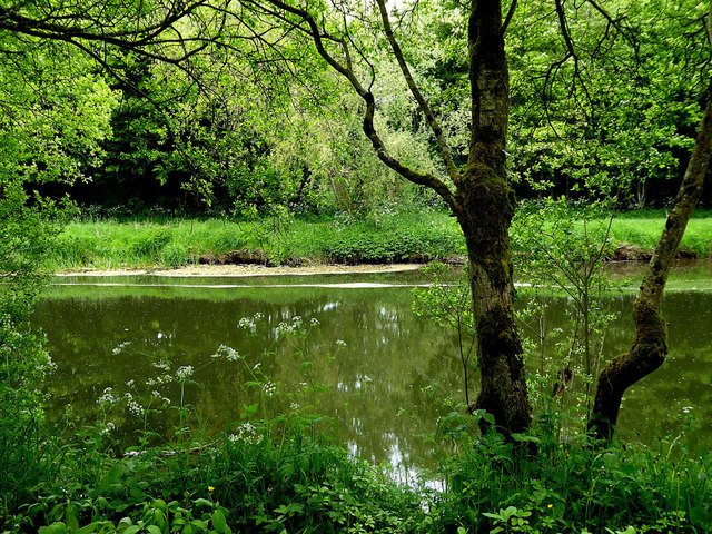 Stagnation along the Camowen River © Kenneth Allen cc-by-sa/2.0 ...