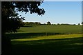 Fields east of Tiggins Lane