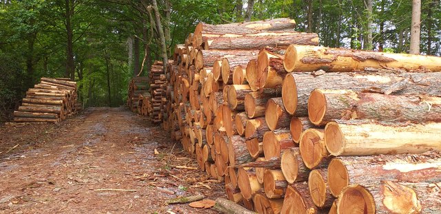 Timber operations