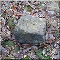 Old Boundary Marker