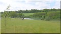 Ornamental lake near Blakemore Farm