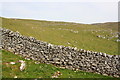 SD8564 : View over dry stone wall towards Great Scar by Roger Templeman