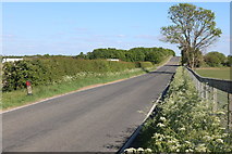 TL4157 : Grantchester Road south of Coton by David Howard