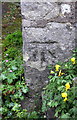 Benchmark on Church Close Farm house