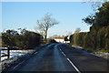 A262, westbound