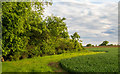 Arable Land near Hawksmere Springs Nature Reserve, Stapleford Tawney