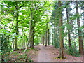 On part of the Shropshire Way