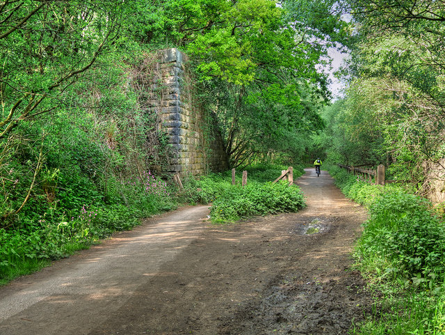 Former Railway Cutting on the Outwood Trail