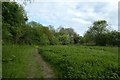 Footpath on Fulford Ings