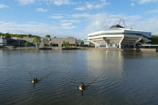Canada Geese and Central Hall