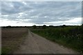 Farm track off Back Lane