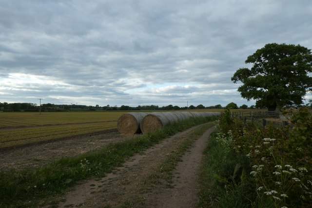 Bales beside Back Lane © DS Pugh cc-by-sa/2.0 :: Geograph Britain and ...