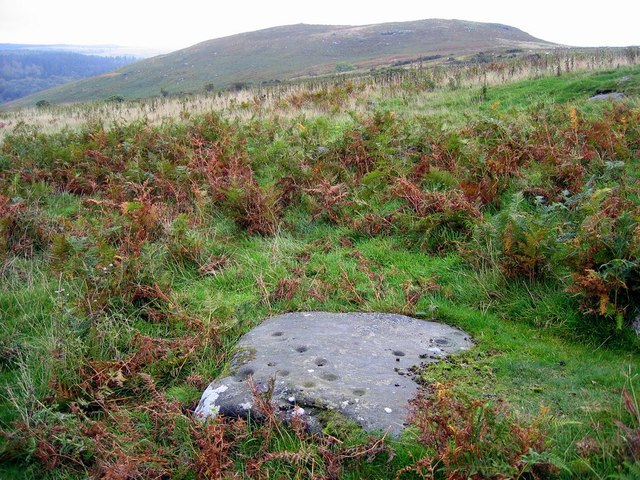 Prehistoric Cup & Ring marked rock south of Whittondean