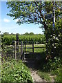 Entrance to footpath  off Sandbanks Road