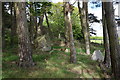 Ruin of Hill of Tuach stone circle