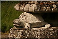 Holgate Monument, Brocklesby Park (4) detail