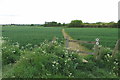 Footpath to Thurleigh