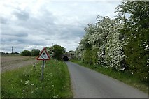 SE5655 : Road to Overton by DS Pugh