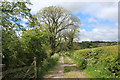 Track beside Spade Mill Reservoir